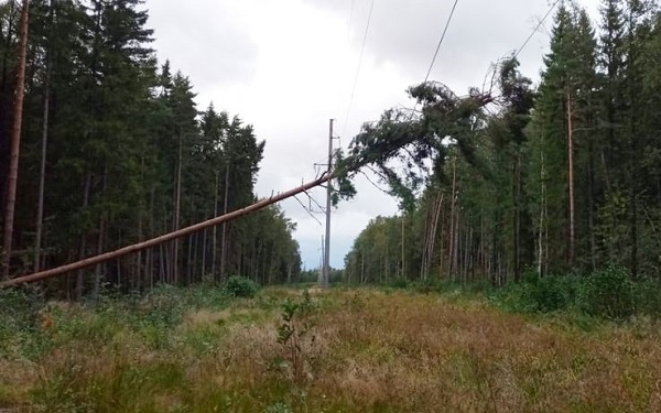 «ЛОЭСК» восстанавливает электроснабжение в Ленинградской области после удара стихии