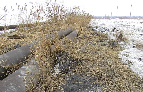 «ТГК-11» в добровольном порядке выплатила 6,9 млн. рублей за ущерб окружающей среде
