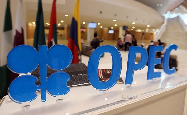 Вербальные интервенции OPEC развернули нефть в рост