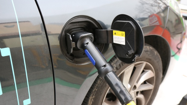 АЗС в России могут обязать установить зарядки для электромобилей
