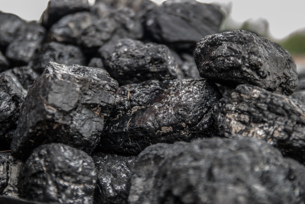 Новое месторождение угля обнаружено в Узбекистане