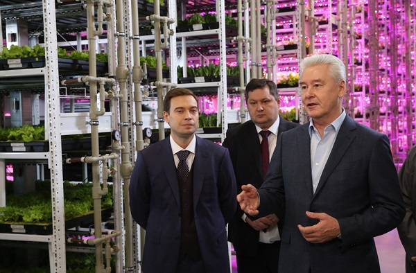 АВВ оснастила первый в Москве вертикальный тепличный комплекс энергоэффективными решениями