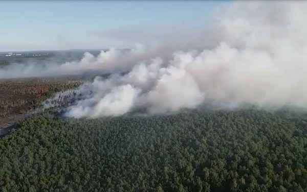 «Россети Урал»  принимает меры  по защите электросетей в зоне лесного пожара в Пермском крае