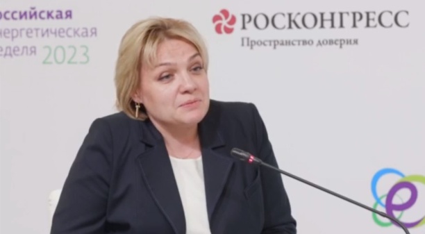 Анастасия Бондаренко: Одна из актуальных угроз для ТЭКа - кибератаки