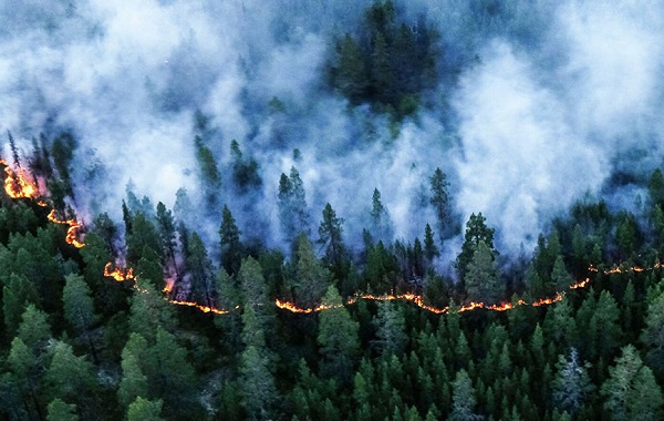Лесные пожары в Югре не затронули электросетевые объекты