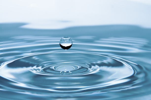 РусГидро провело более 25 акций в рамках Дня воды