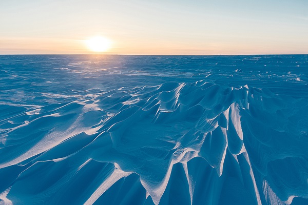 Европейский университет и «Сколково» займутся исследованиями климатических и экономических перспектив Арктики