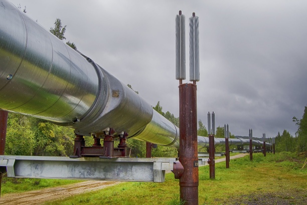 Компания «Транснефть – Балтика» в первом квартале обследовала более 600 км трубопроводов