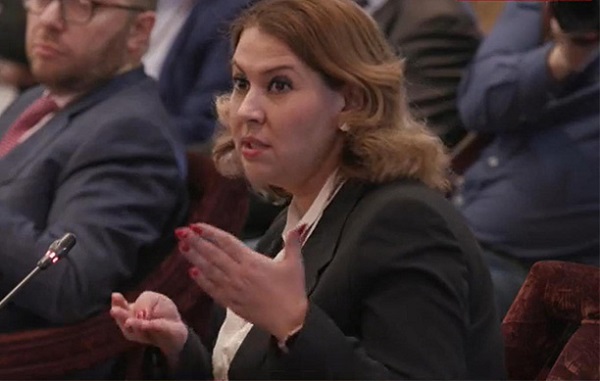 Александра Панина переизбрана на должность Председателя Наблюдательного совета Ассоциации «Совет производителей энергии»